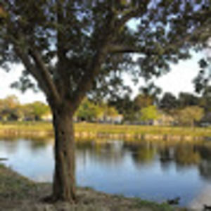 Meet your Posher, Sindy